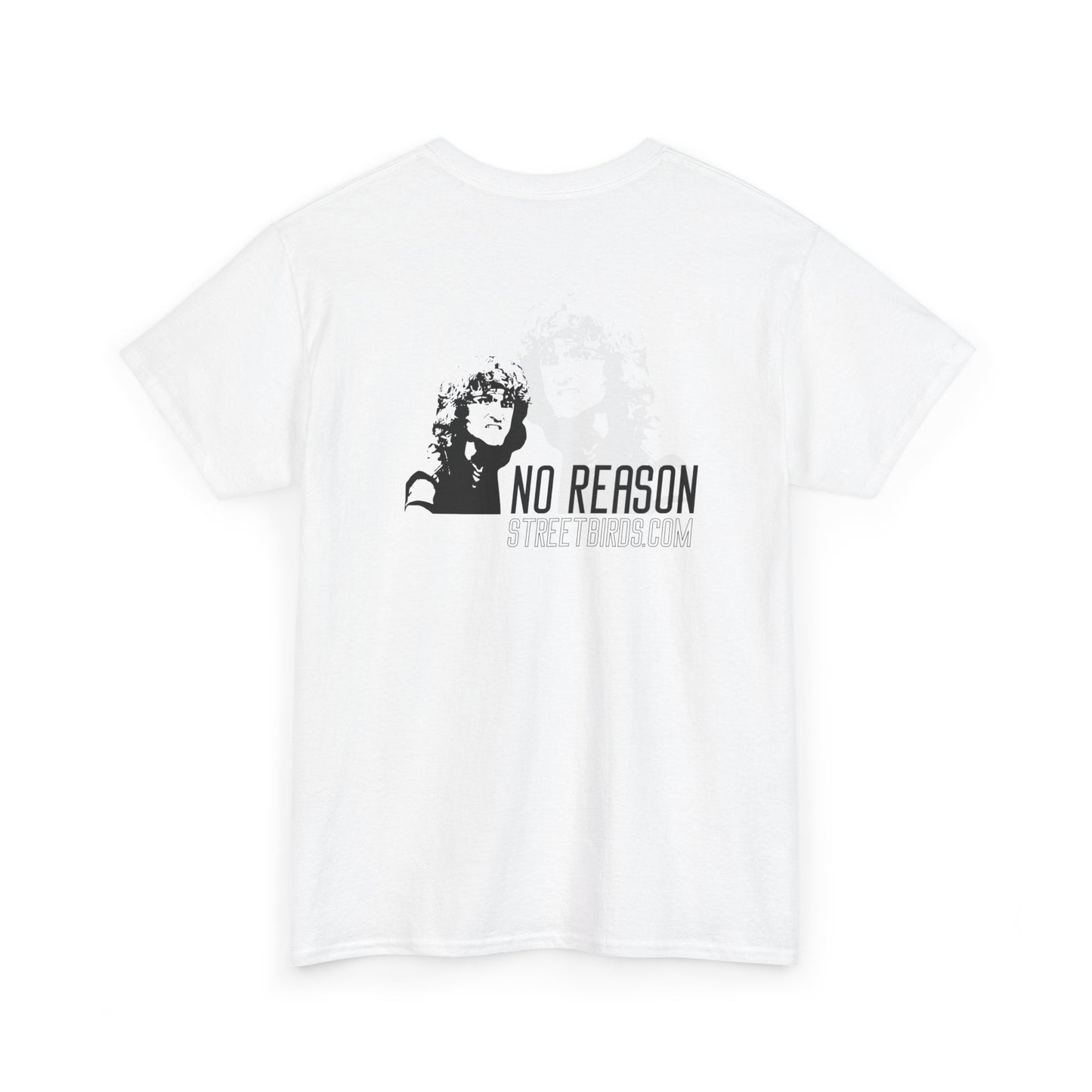 No Reason