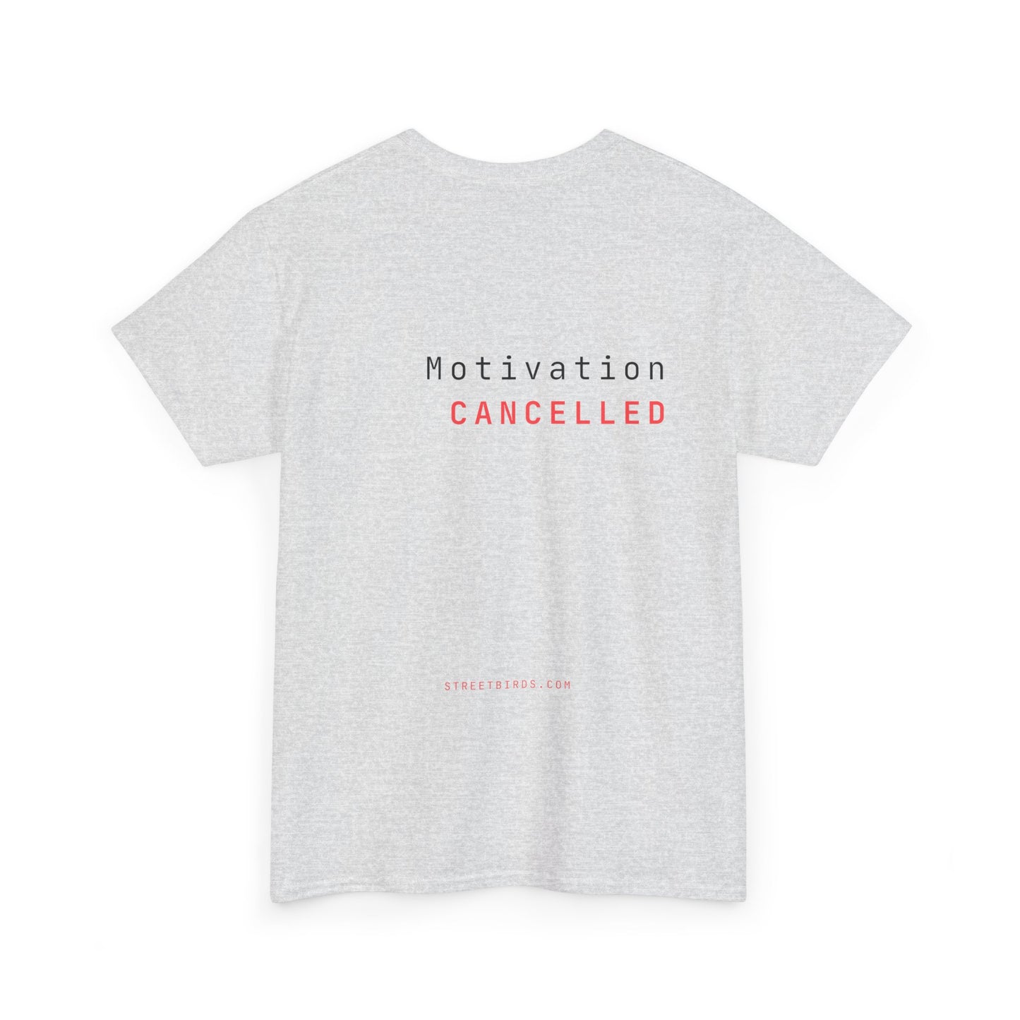 Motivation Cancelled (Light)