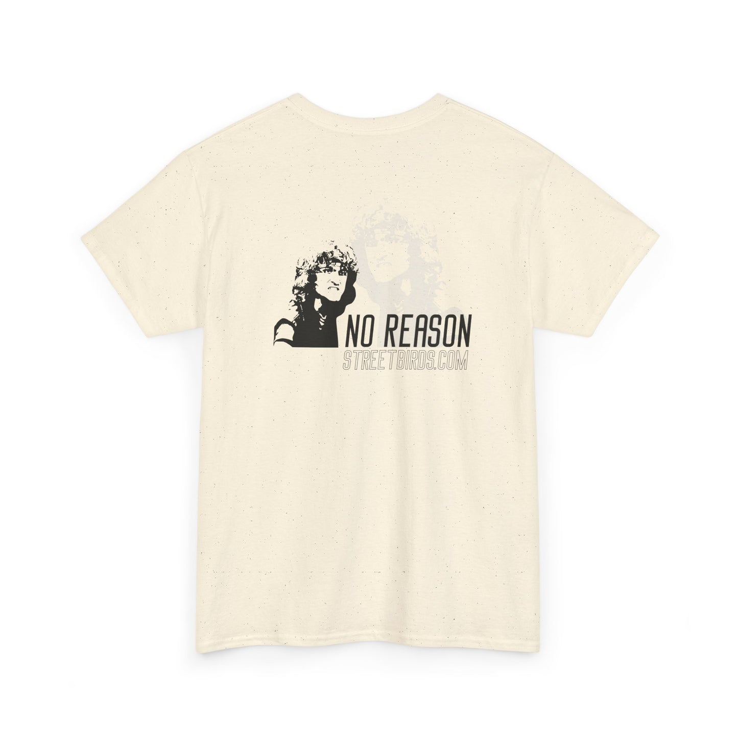 No Reason