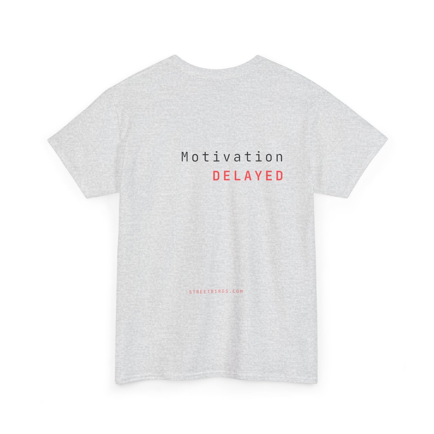 Motivation Delayed (Light)