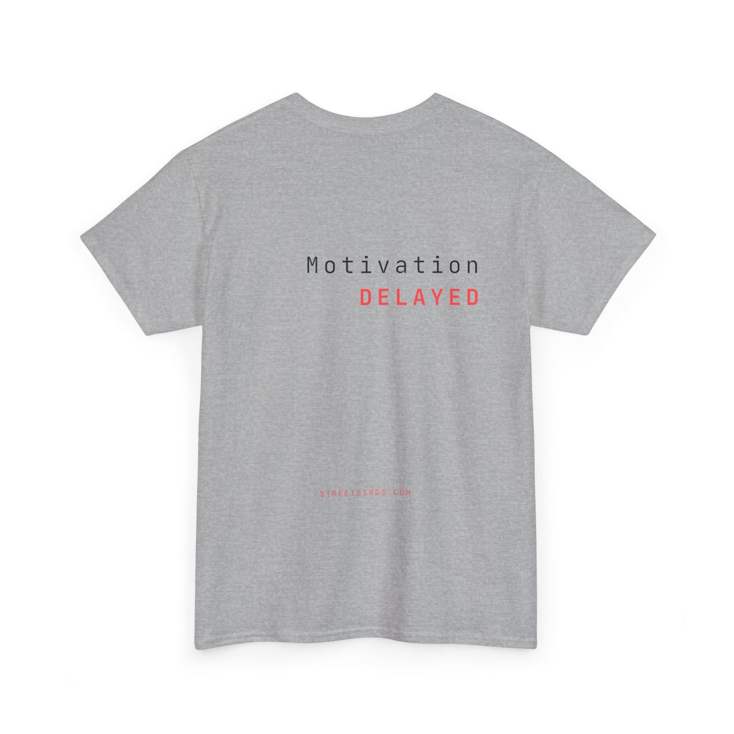 Motivation Delayed (Light)