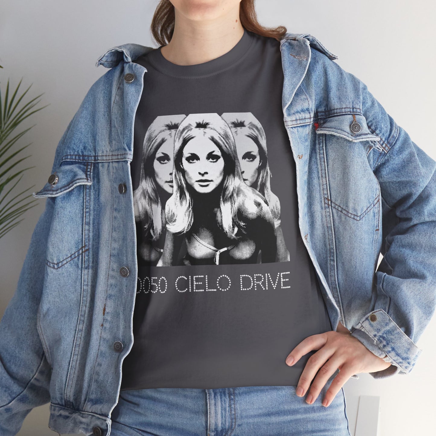 10050 Cielo Drive