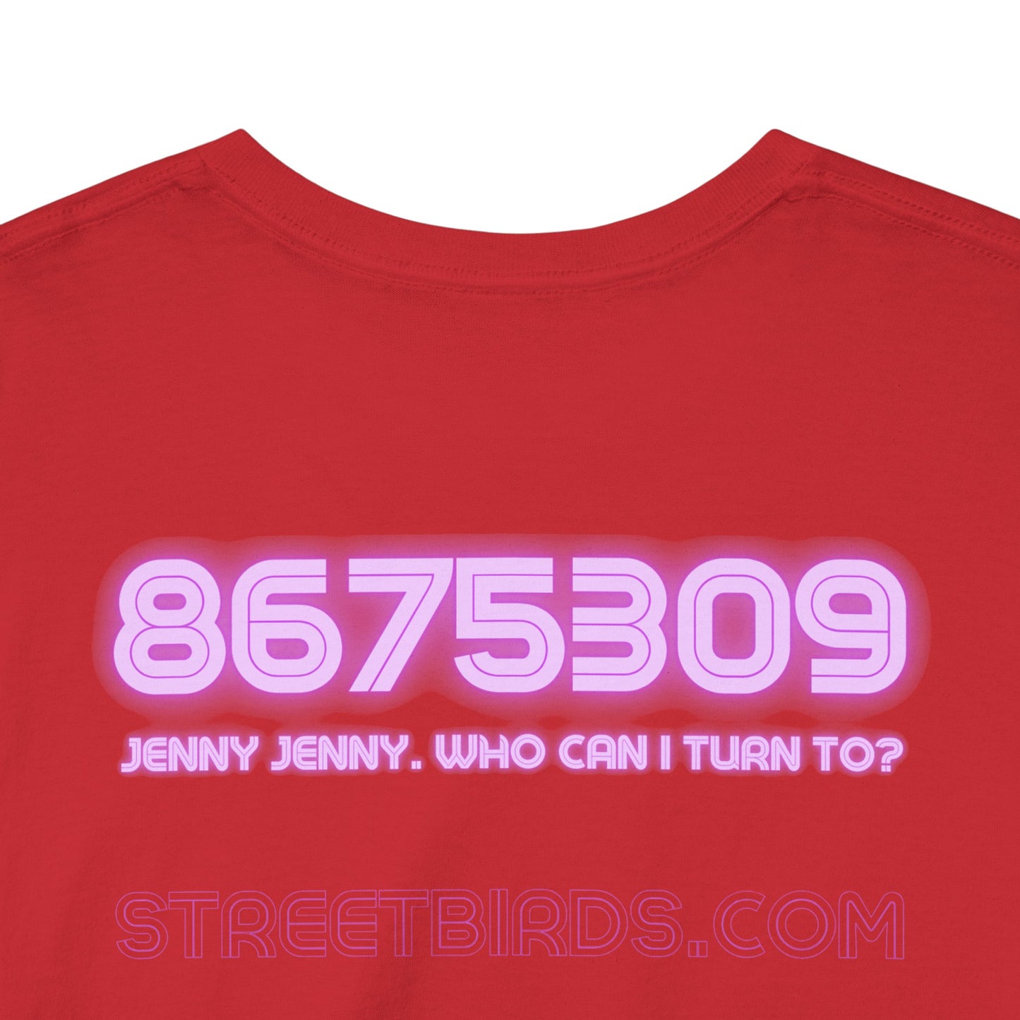 8675309 Jenny Jenny
