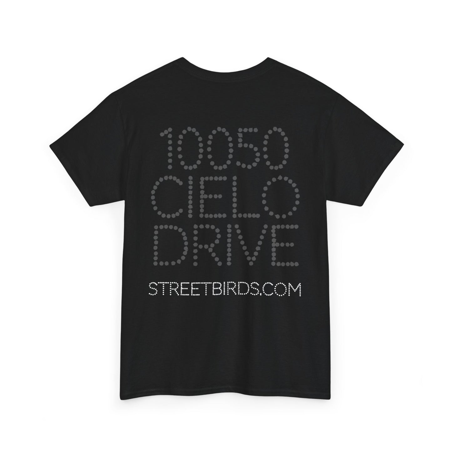 10050 Cielo Drive