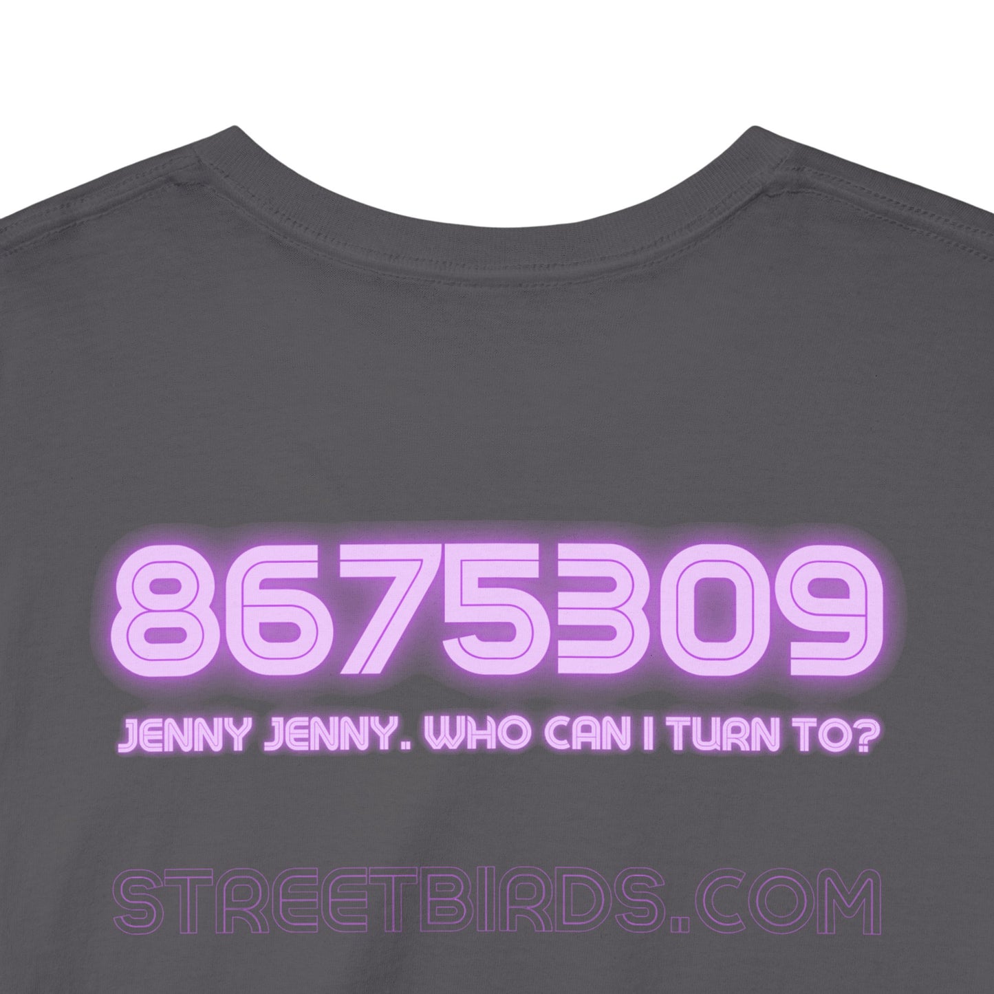8675309 Jenny Jenny