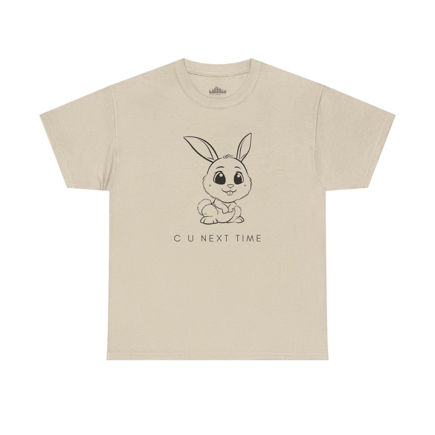 Next Time Bunny