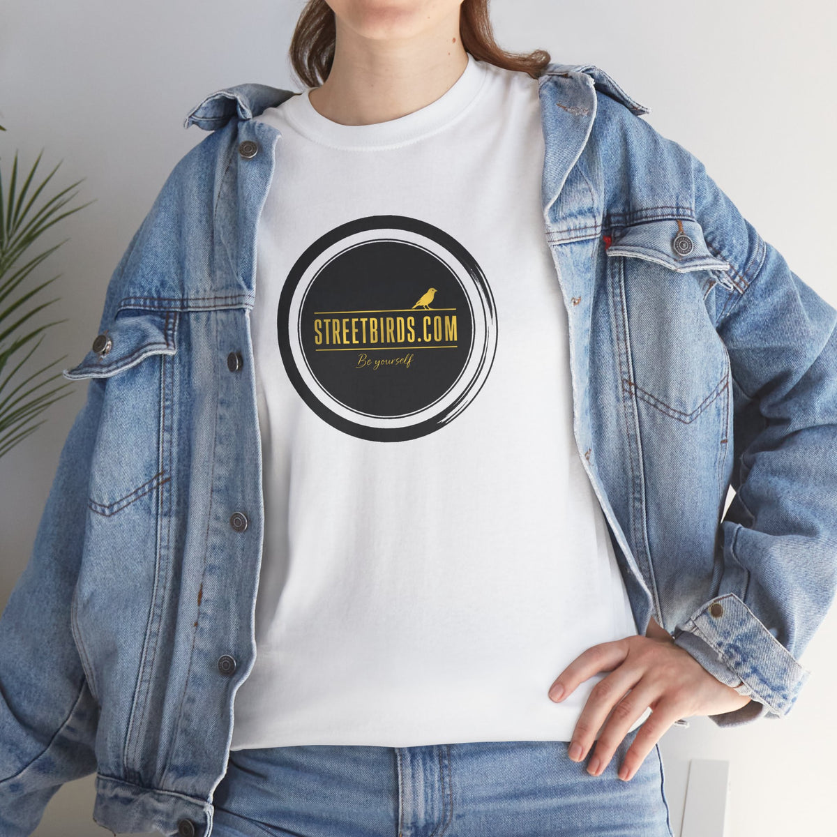 Streetbirds PROMO2