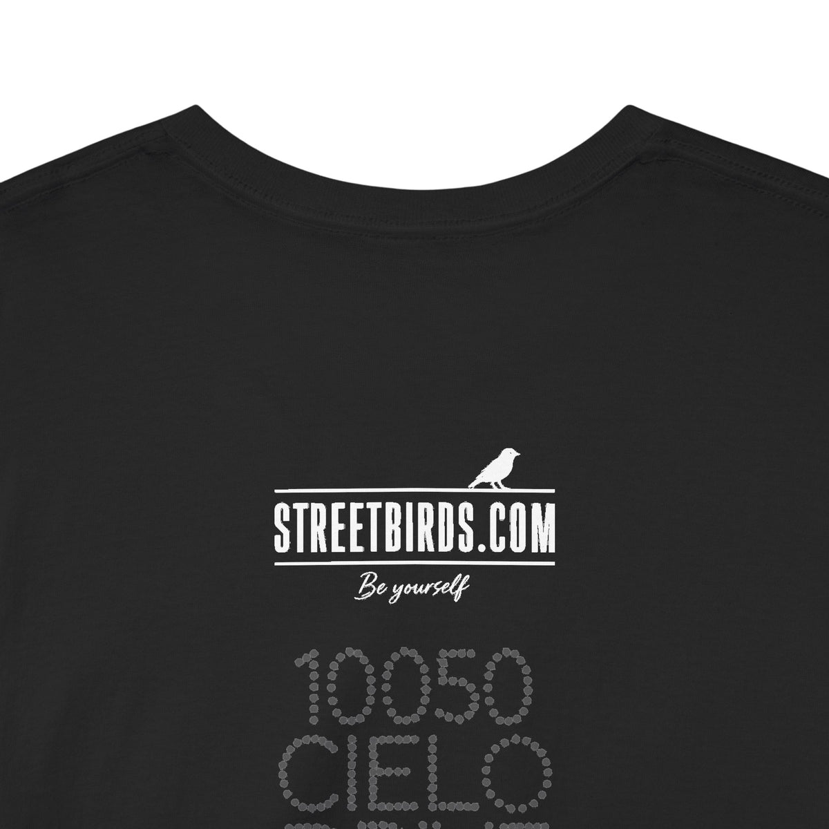 10050 Cielo Drive