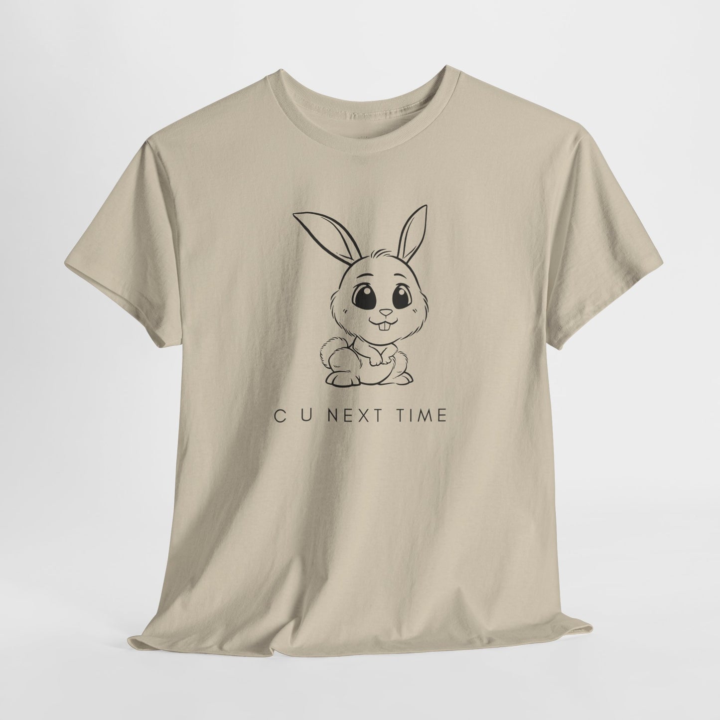 Next Time Bunny